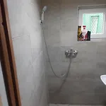 Διαμέρισμα Viktoria Vendeghaz